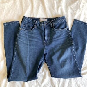 Everlane curvy high rise skinny jean